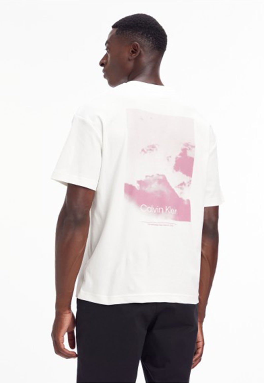 CLOUD PHOTO BACK PRINT T-SHIRT Egret 893627102 - Calvin Klein